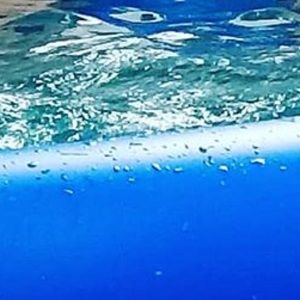 Meet your Posher, Krista